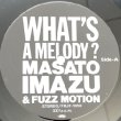 画像2: MASATO IMAZU -  WHAT'S A MELODY ? (2)